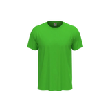 Kiwi_ff0e5349-8774-4d4c-9591-2da232338082